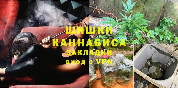 стаф Вязьма