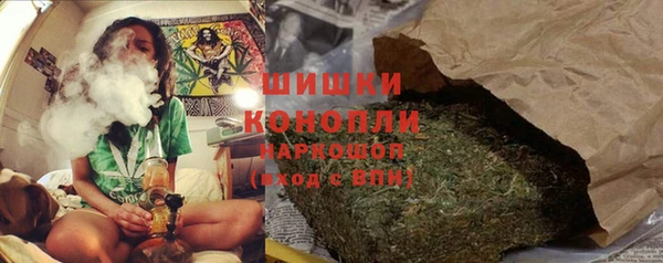 мдпв Бронницы