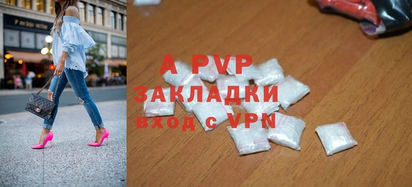 амф Бородино