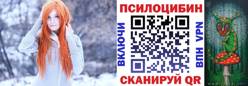 МЕГА tor  Закаменск  Псилоцибиновые грибы Psilocybine cubensis 